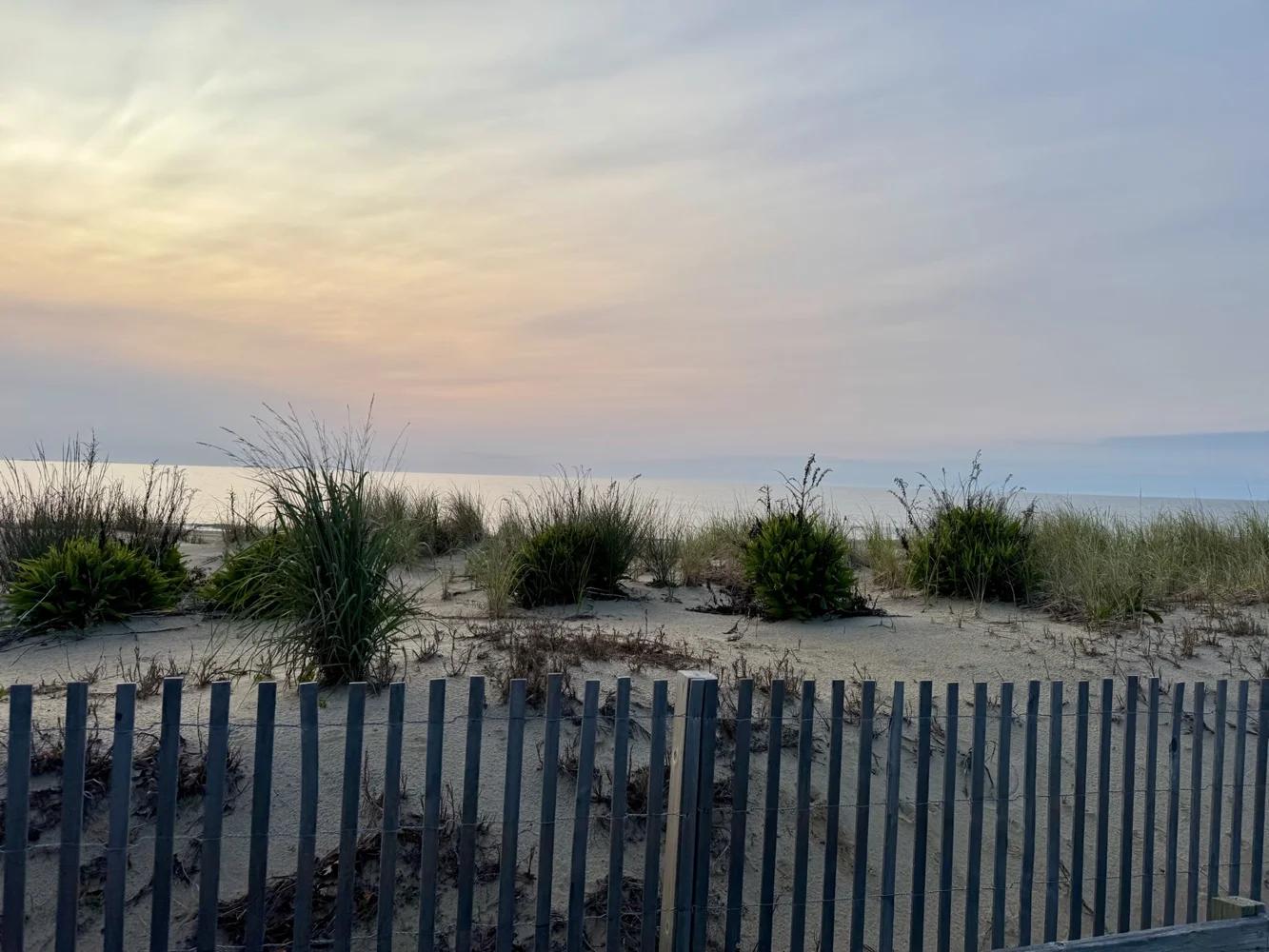 Ocean City dunes in the soft light of morning